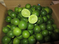 Fresh lemon/ fresh lime/ green citrus