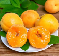 Wholesale Apricot Halve/whole Fresh Fruit Price Frozen Apricot