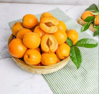 Dried Fruit Apricot Wholesale