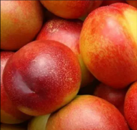 https://es.tradekey.com/product_view/Cheap-Price-Fresh-Peach-10265071.html