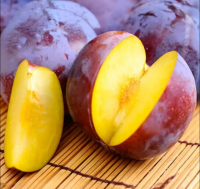 Premium Chinese Fresh Plums Juicy fresh Black Diamond plum fruits for export