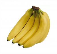 https://jp.tradekey.com/product_view/Best-Price-Fresh-Cavendish-Bananas-Fresh-Cavendish-Bananas-High-Quality-From-Vietnam-Factory-No-1-10265905.html