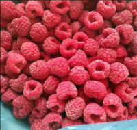 Factory price frozen mixed berries IQF fruit in bulk China supply