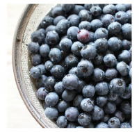 Japan high quality frozen supplier packing fresh blueberry fruit
