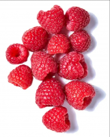 Low price Frozen wild raspberries whole for the best taste selling quality fresh fruit