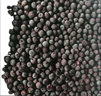 Bulk wholesale frozen blueberry price bulk wild frozen blueberry