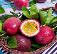 Special Fresh Passion Fruit top quality FRESH passion fruit best price from Vietnam 