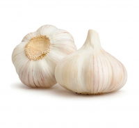 Garlic price per ton fresh garlic new crop garlic wholesale Supplier