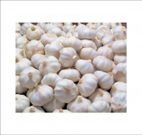 https://fr.tradekey.com/product_view/Best-Quality-Hot-Sale-Price-Fresh-Organic-Natural-Garlic-New-Crop-Fresh-Garlic-10267743.html