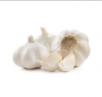 New Crop Fresh Normal White ZLM Garlic