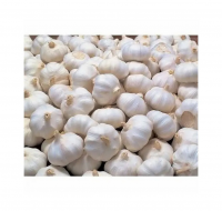 Wholesale Fresh Pure White Garlic Cheap Price Fresh Vegetables For Sale