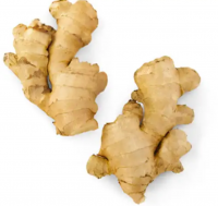 Dry Dried Ginger Of Superior Quality For Export Ginger Old Fresh Ginger Slices