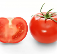Natural Organic Fresh Tomatoes High Quality Red Tomato /tomato Paste