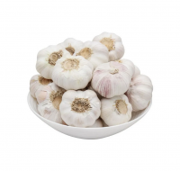 Fresh garlic Nord Garlic import Fresh White Garlic Low Price Wholesale Normal Pure Fresh Garlic