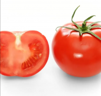 Natural Organic Fresh Tomatoes High Quality Red Tomato /Tomato Paste