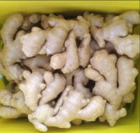 New Crop High Quality From China Assurance Frozen Fresh Ginger