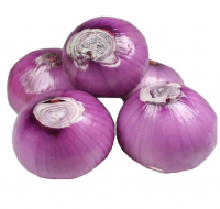 Sweet Onion Supplier Fresh Onions Bulk Natural Fresh Wholesale Red Fresh Onions