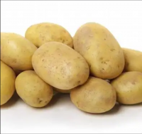 High Quality Fresh Potato From Pakistan White Potato / Red Potatoes