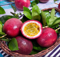 New Delicious Product Fresh Natural Sweet Passion Fruit Fresh Passion Fruit For Eat