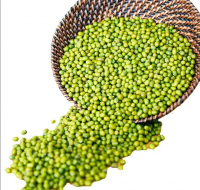 Premium Quality Raw Green Mung Bean Available For Export From India At Wholesale Low Price