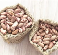 Light Speckled Kidney Beans /Pinto Beans/Sugar Beans