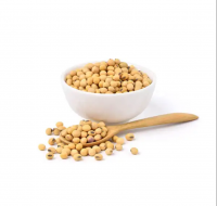 Soybean/soya Bean/soja/dried Soya Bean Soybeans Dry Soybean Seed Yellowish 100% Natural Human Consumption