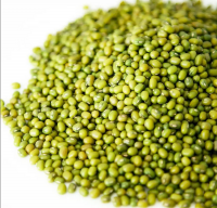 Green Moong Dal - Moong dal - Green mung beans - High quality green mung beans from Uzbekistan.