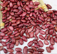 Non-GMO High Grade Natural Bulk Dried Red Kidney Beans from Uzbekistan "Super Royal" Dry Red Beans for Food