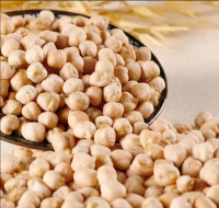 Wholesale prices organic chickpeas chickpeas 12mm white chickpeas