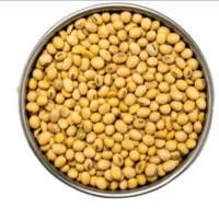 uman consumption top grade soybean seed organic soybean non GMO