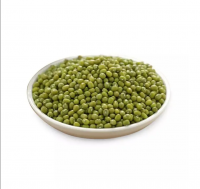 Wholesale Premium Quality Green Mung Beans Medium Grains vigna beans