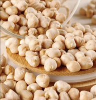 12mm Organic Chickpeas Wholesale Price Good Quality Chickpeas Box Export