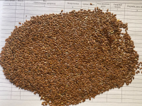 Wholesale Chinese Good Quality Flax Seed For Oil Pressing Natural Dried Brown Color Linseed Seed Raw Natural Linseed Flaxs