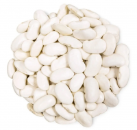 New crop white kidney beans export white beans wholesale price factory direct sales