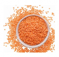 Red Lentils, Green Lentils, Yellow Lentils, Bulk Green and Red Quality Lentils