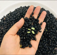 Highest quality Non-gmo Natural Dry Black Beans