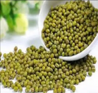 Premium Grade Mung beans/ Round Green Mung Beans/ Organic mung beans for sale