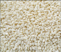 High Quality Pure Black Sesame Seed 100% organic