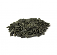 White Strip Sunflower Seeds With Cheap Price