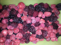 High quality Frozen wild raspberries whole for the best taste selling quality fresh fruit