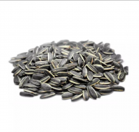 Best Sunflower Seed Discounts Price