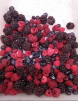 IQF frozen berries crumble whole raspberry