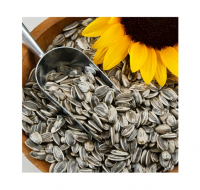 Quality Sunflower Seeds Wholesale Bulk Sunflower Seeds Fast Delivery