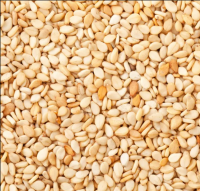 Factory Supply Premium Quality hulled Sesame Seeds 100% Natural White hulled Sesame seeds