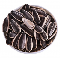 Best Quality Wholesale Sunflower Seeds For Sale In Cheap Price