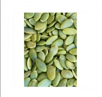 High Quality Roasted Pumpkin Seeds Lady Nail Pumpkin Seed