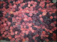 iqf strawberries frozen vegetables and fruits Quality Selection Affordable Mixed Berries