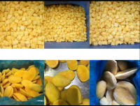 Organic Fruit Frozen Mango Slices 100 G Sweet Mango 100% Low Sugar Real Premium Freeze Dried From 99 Gold Dat