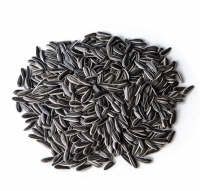 Bulk raw sunflower seeds livestock feed agricultural crop