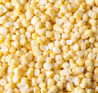 KWS Frozen vegetable maize Frozen IQF sweet corn kernels